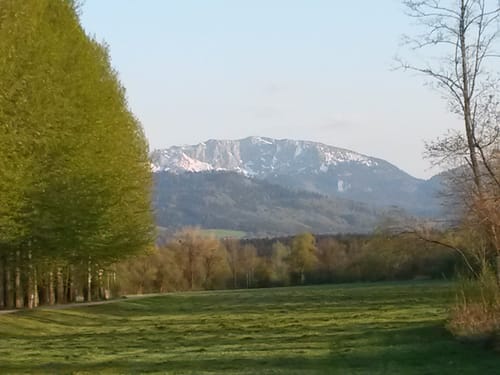 Kleine Runde bei Maxkron