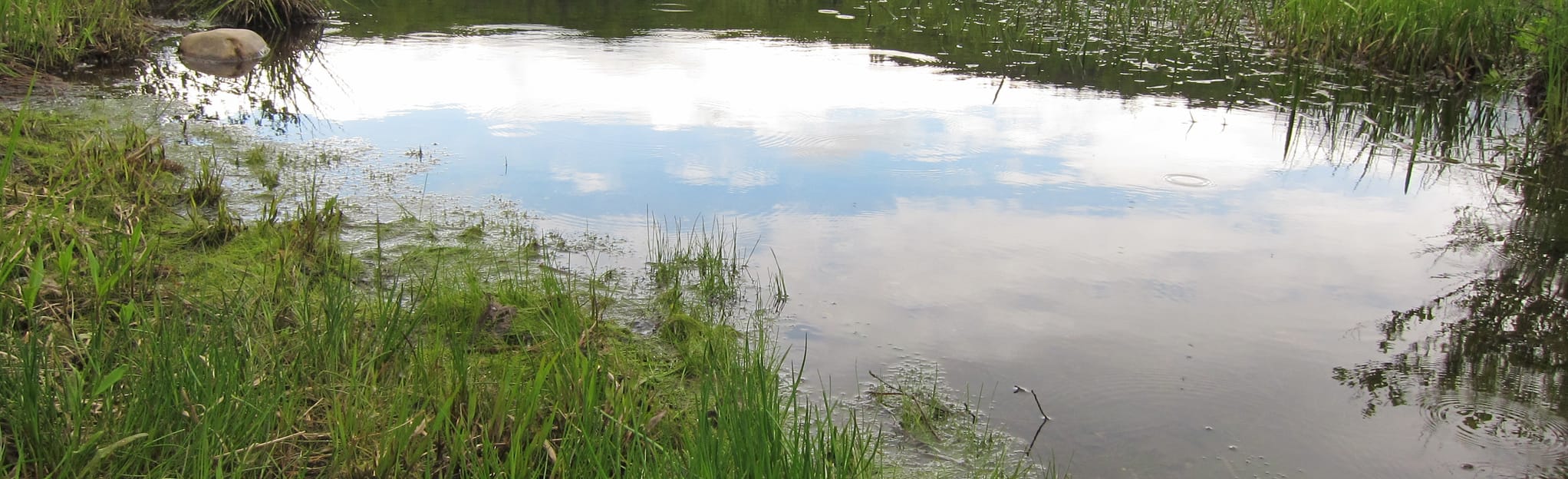 John A. State Park Route Connecticut AllTrails