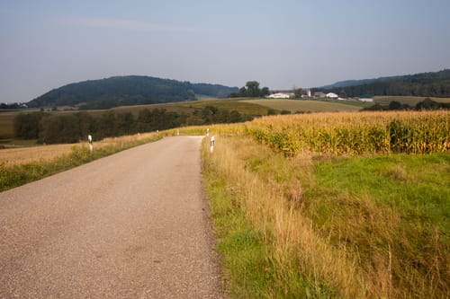 Zubringer Donauradweg: Falkenstein