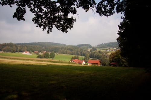 Goldsteig Südroute Etappe 13: Wiesenfelden - Haunkenzell