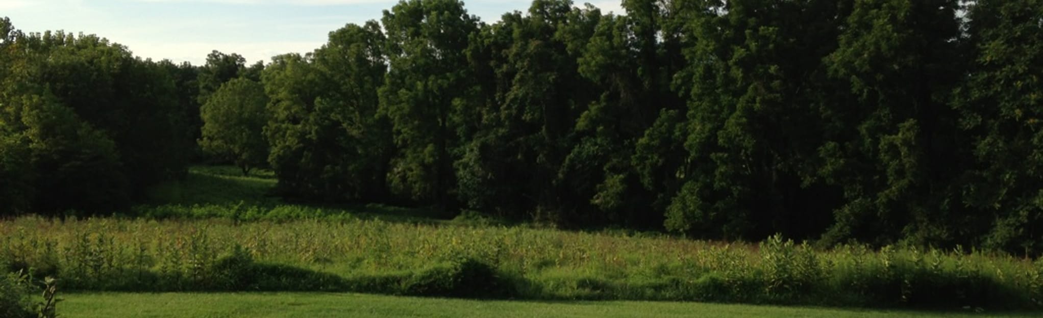 AllTrails Miner's, Marble Quarry, and Baltimore Gneiss Trail Loop