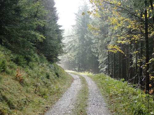 Furtwangen - Escheck