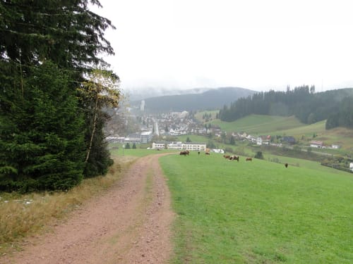 Furtwangen - Escheck