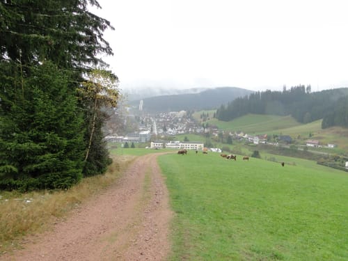 Furtwangen - Escheck