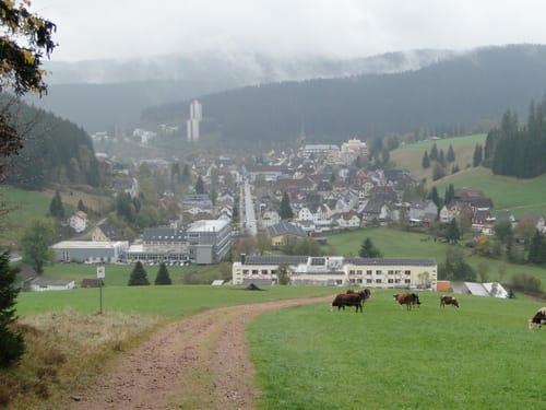 Furtwangen - Escheck