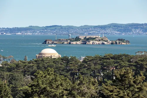 Best San Francisco Hikes (That Are Also Dog Friendly)