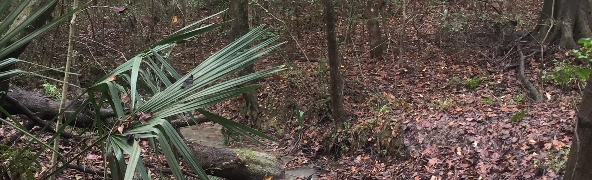 Kendalwood Conservation Area Arrowwood Inner Trail 15 Reviews, Map