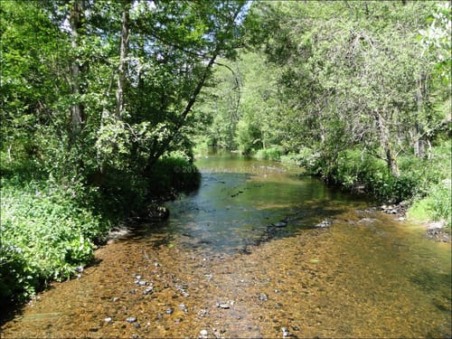 Schluchtensteig Etappe 3: Schattenmühle - Fischbach