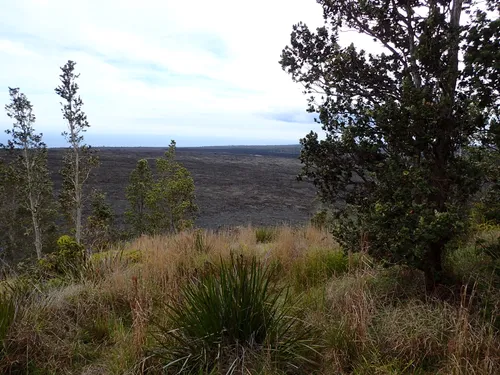 10 Best Hikes and Trails in Hawai'i Volcanoes National Park | AllTrails