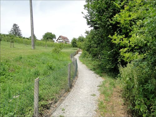 Hagnau - Meersburg