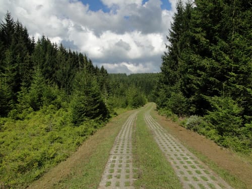 Auf dem Grenzweg bei Sorge