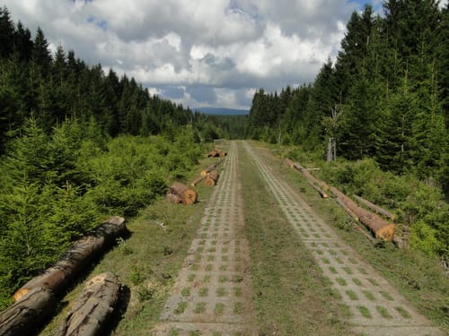 Auf dem Grenzweg bei Sorge