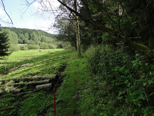 Auf dem Grenzweg bei Sorge