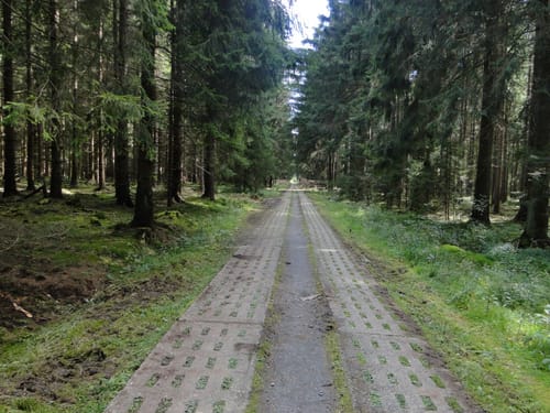 Auf dem Grenzweg bei Sorge