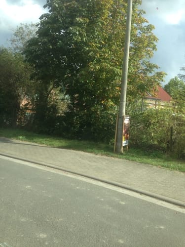 Von Alzey nach Wörrstadt