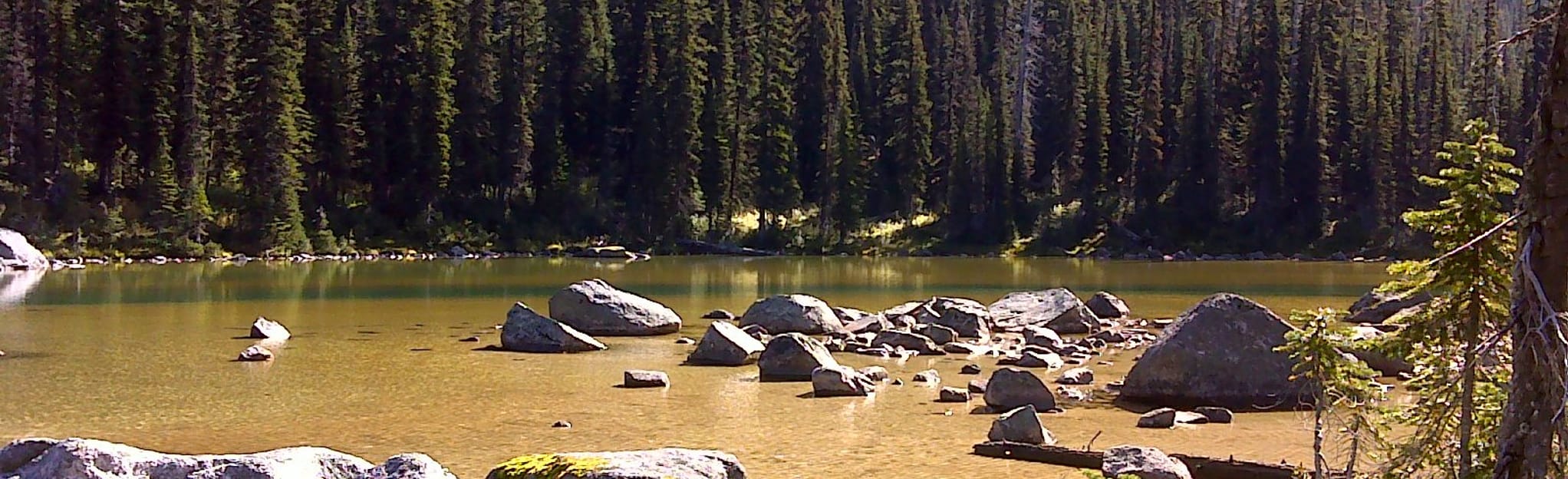 Dunn Peak 16 Reviews, Map British Columbia, Canada AllTrails