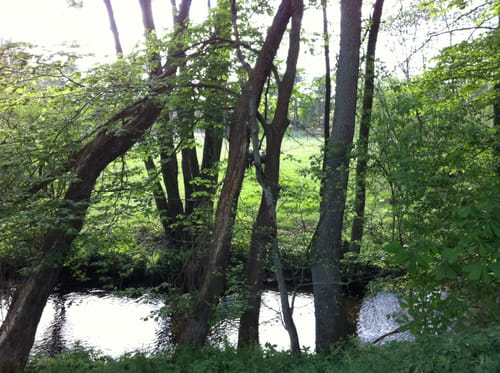 Egestorf - Undeloh - Wilseder