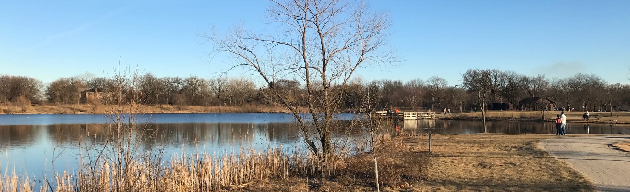 Wood Dale Grove Forest Preserve Loop 67 Reviews, Map Illinois