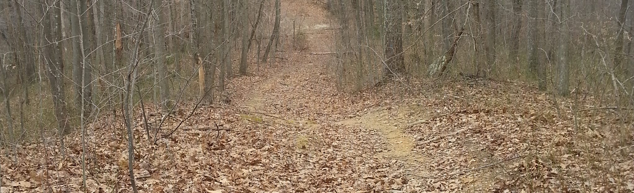 Crabapple Trail to Rattlesnake Trail, West Virginia 65 Reviews, Map AllTrails