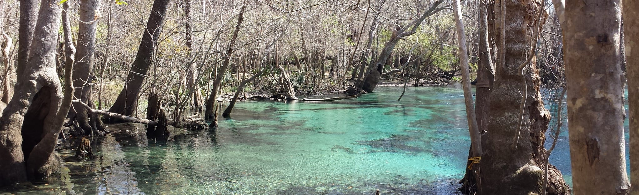 Holmes Creek Paddle Route Map, Guide Florida AllTrails