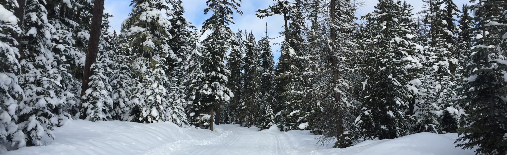 Teacup Nordic Lakeside Trail and Nordic Way CrossCountry Ski Oregon