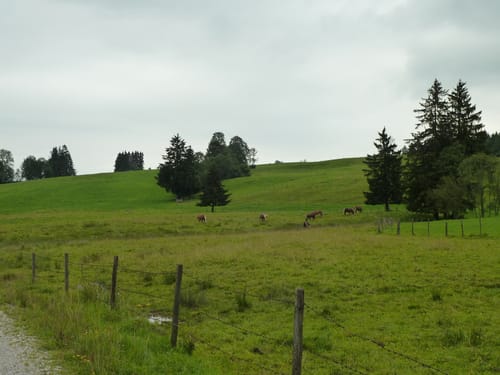 Fussen nach Rottenbuch
