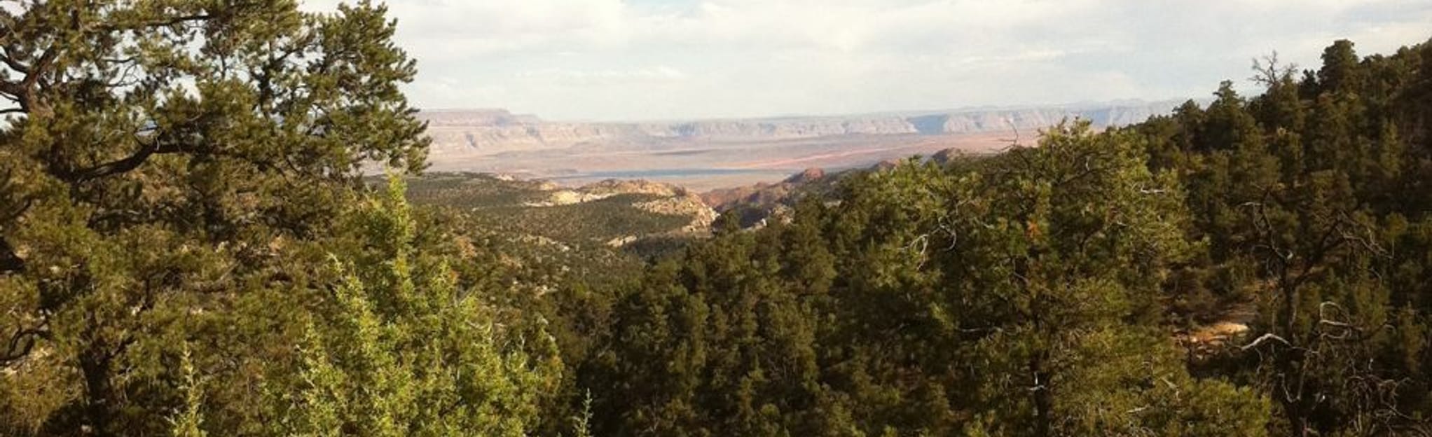 Diamond Valley OHV Trail, Utah 12 Reviews, Map AllTrails