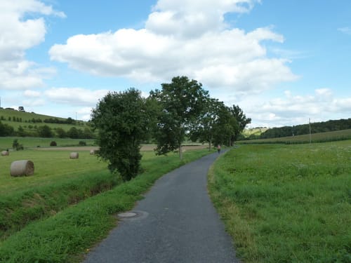 Großrinderfeld nach Gerchsheim über Unteraltertheim