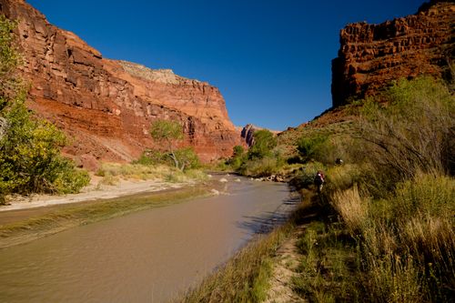 are dogs allowed in paria canyon