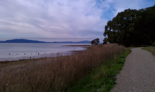 2023 Best Historic Site Trails in Point Pinole Regional Park | AllTrails