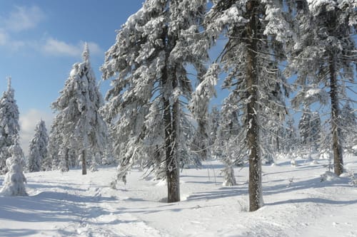 Oberwiesenthal - Keilberg (Klinovec)