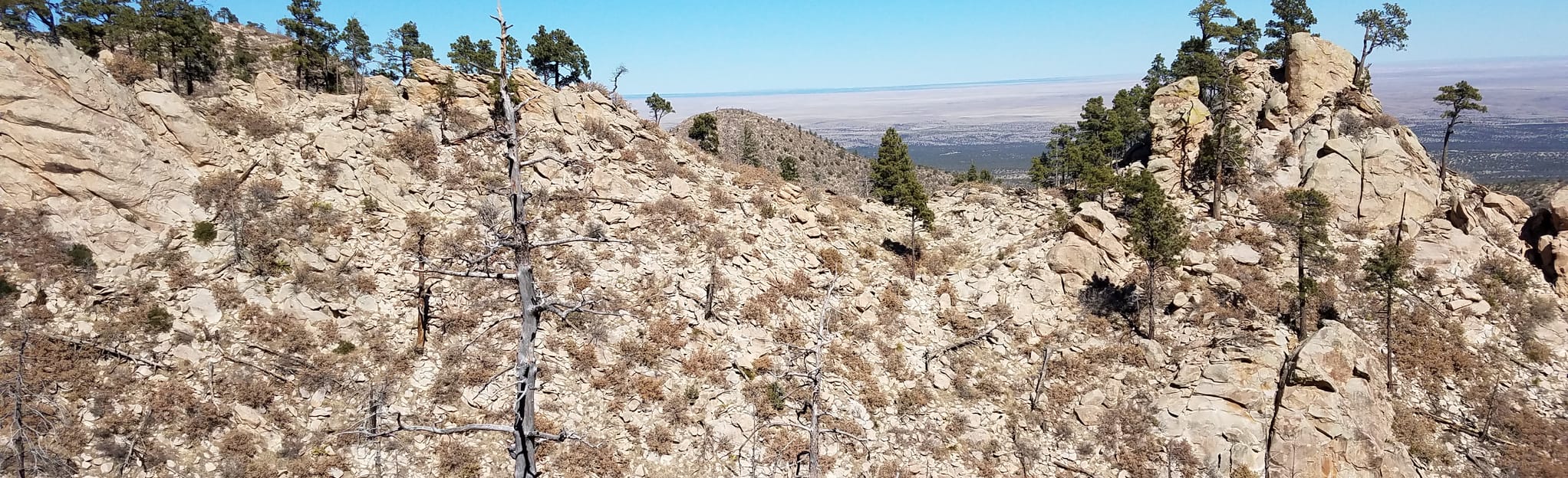 Capitan Peak Trail 76 foto's New Mexico AllTrails