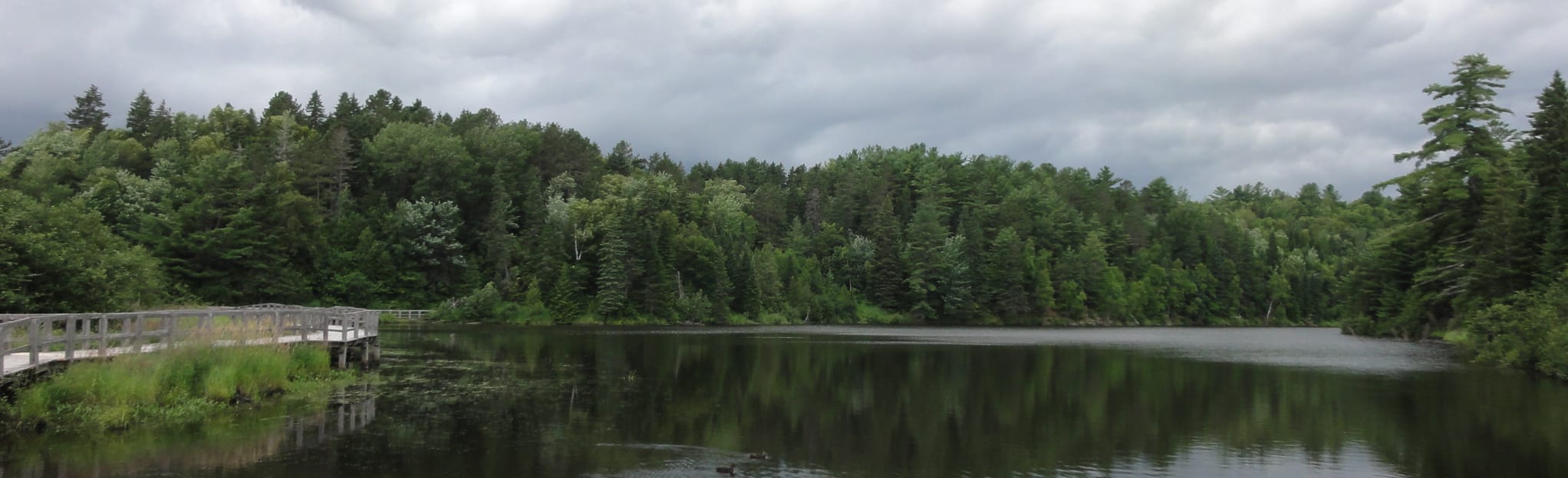 French Fort Cove Trail, New Brunswick, Canada 197 Reviews, Map