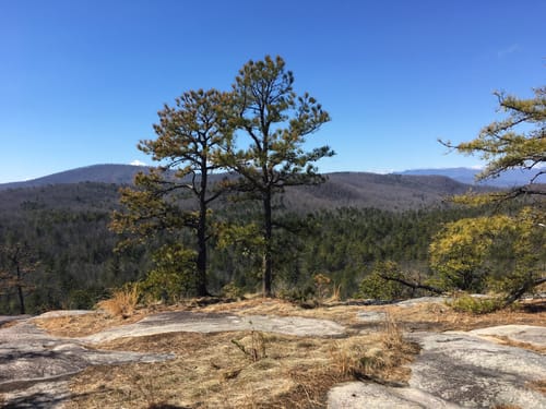 2023 Best 10 Long Trails in Cedar Mountain | AllTrails