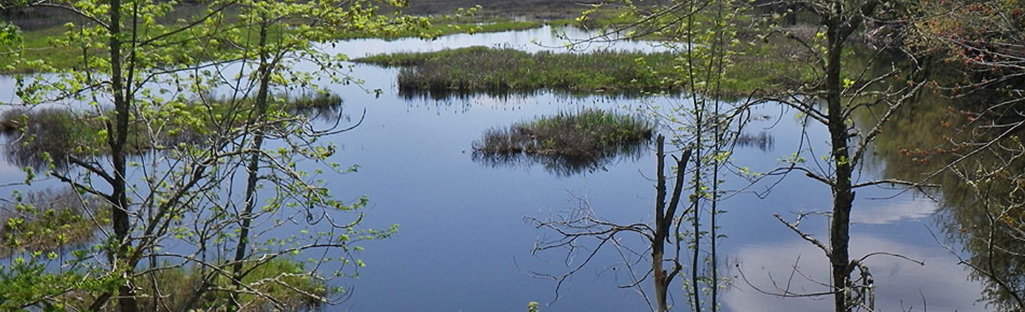 Trans Canada Trail Fredericton to Oromocto, New Brunswick, Canada 58