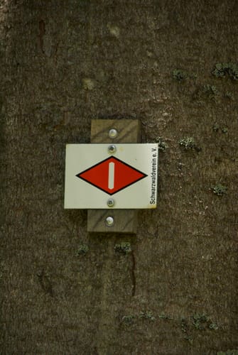 Aus Fohrenbühl um den Waldhäuser