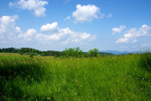 Aus Fohrenbühl um den Waldhäuser