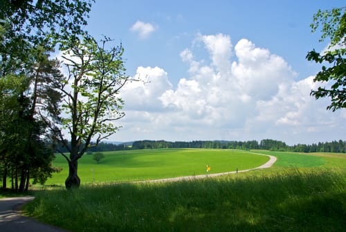 Aus Fohrenbühl um den Waldhäuser