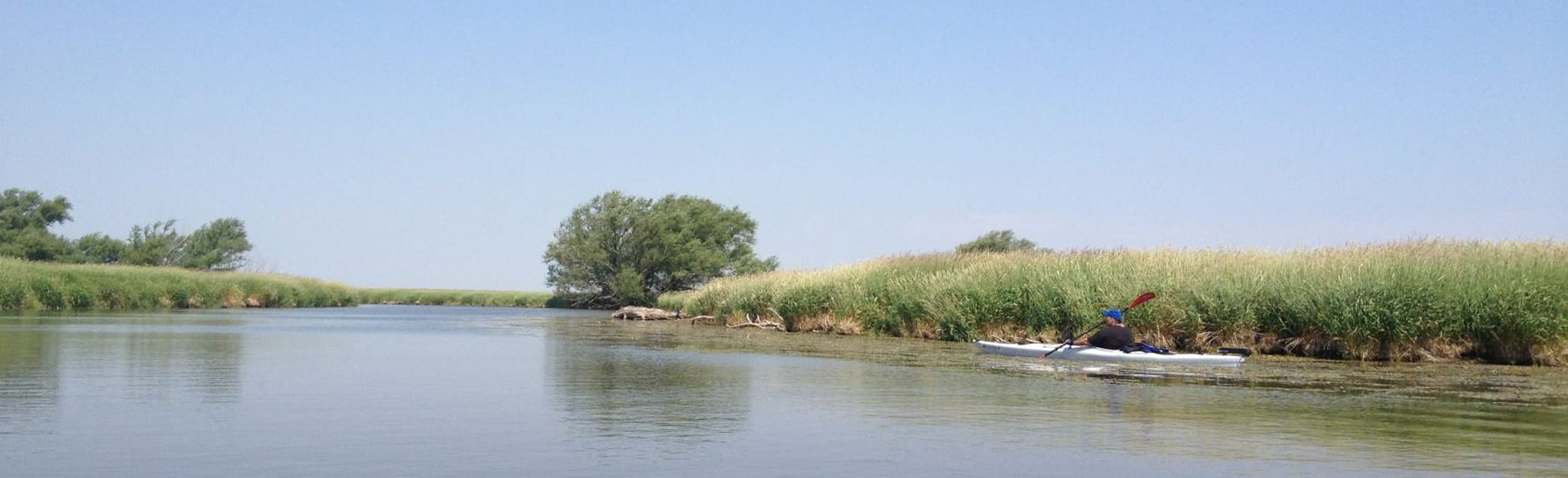 Horicon Marsh Paddle Route, Wisconsin 13 Reviews, Map AllTrails