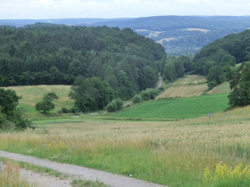 Rundwanderweg Fasan Stettfeld