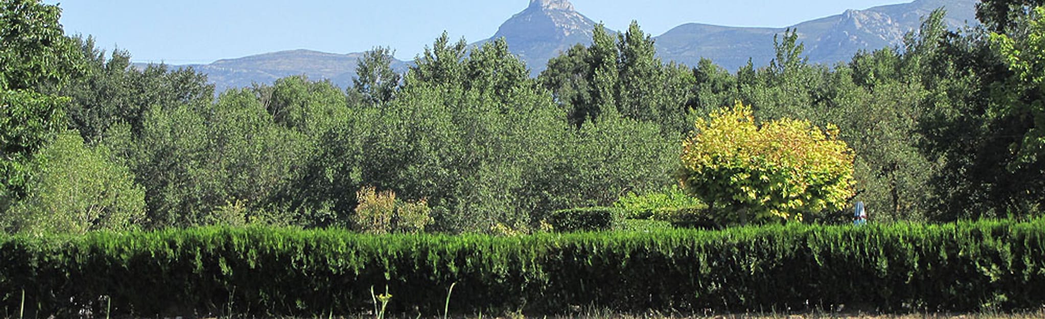Foto de Fuentes de Marcelo en Siétamo, Huesca