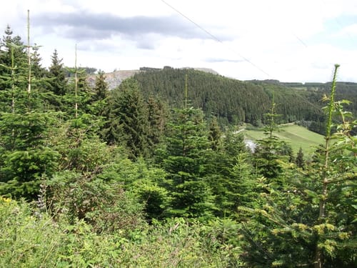 Silbach - Meisterstein - Langenberg