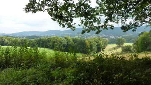 Rundwanderweg Mörlenbach Waldsee 4: Taschengruben-Weg
