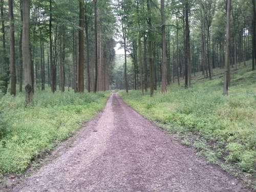 Paderborner Radrundweg PA3