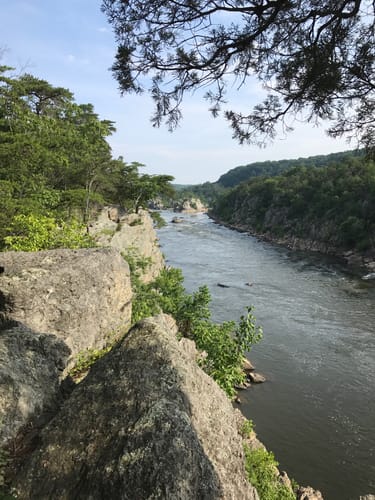 Great Falls Hiking Trails Best 10 Trails In Great Falls Park | Alltrails
