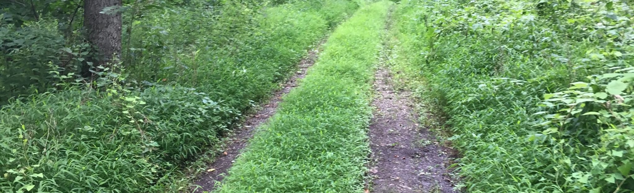 HorseShoe Trail Loop via Middle Creek Trail 96 Reviews, Map