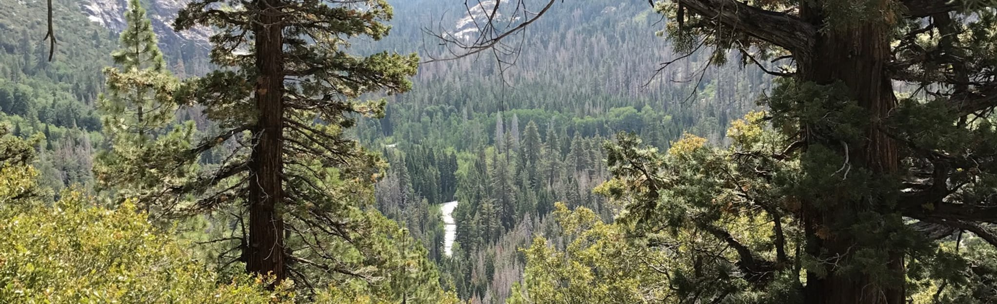 Iva Bell Hot Springs via Fish Creek Trail: 437 fotos - Califórnia ...