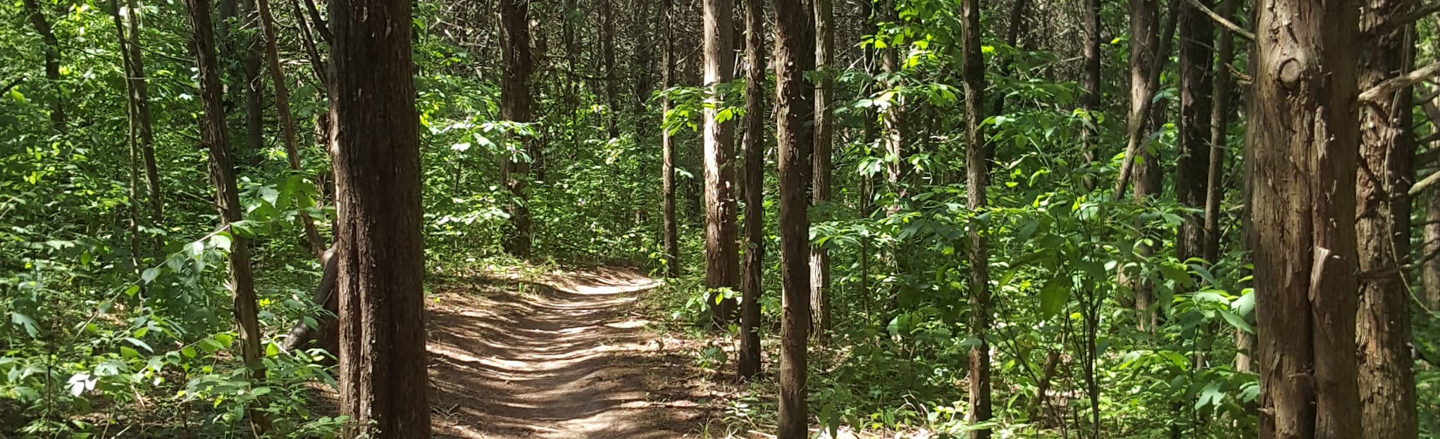 Indian Camp Creek Perimeter Trail, Missouri - 935 Reviews, Map | AllTrails