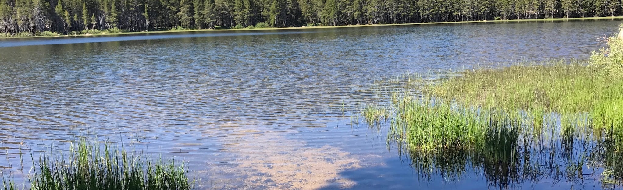 Burnside Lake Trail 41 Reviews, Map California AllTrails