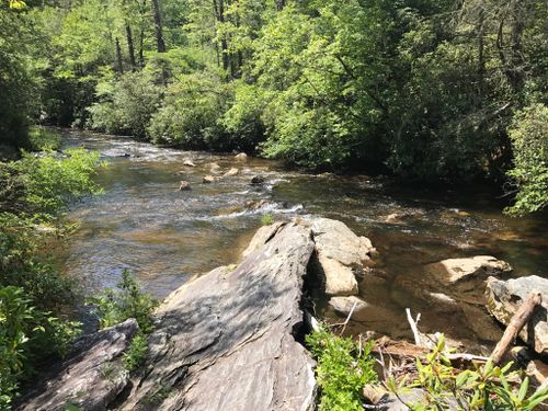 2023 Best 10 Horseback Riding Trails in Pisgah National Forest | AllTrails